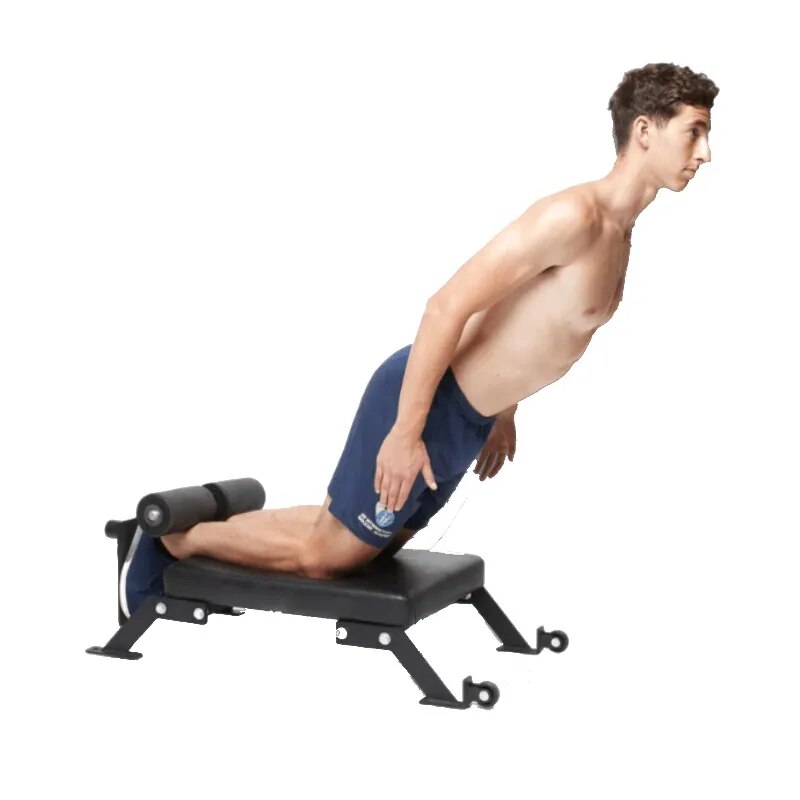 Bench with hamstring online curl