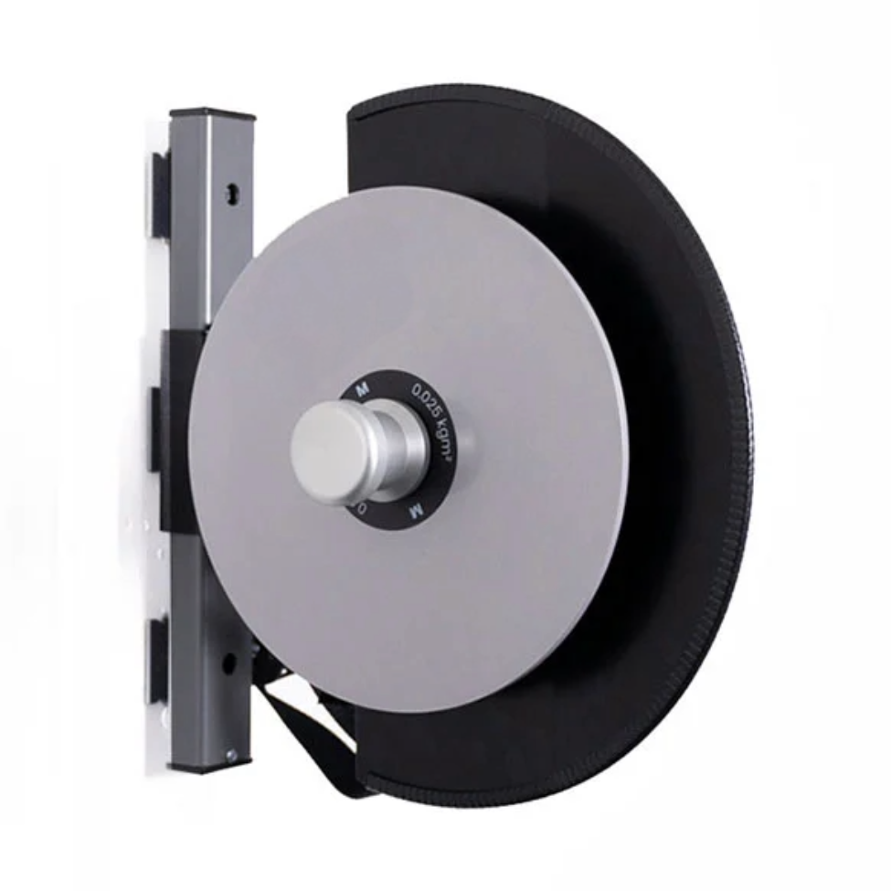 EccentriDisk Pulley Flywheel